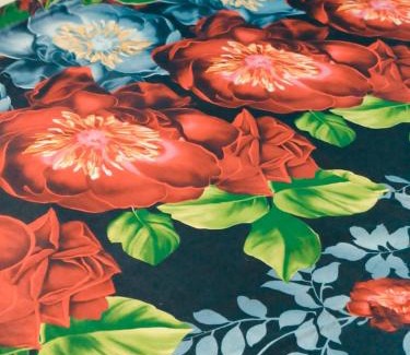 Naini Cabin | Shree residency