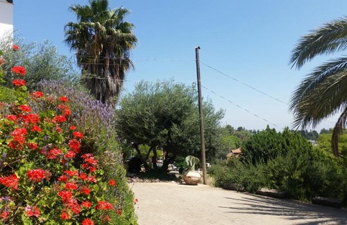 Rosh Pinna Cabin | Shwartzimmer