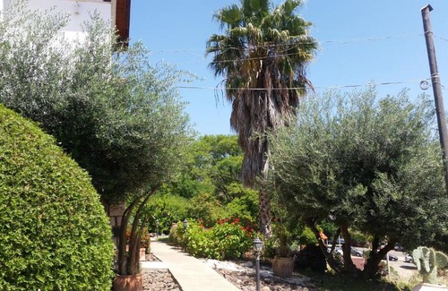 Rosh Pinna Cabin | Shwartzimmer