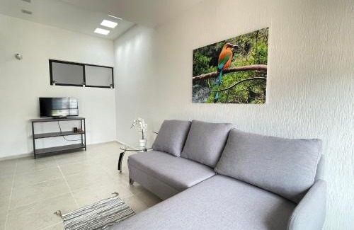 Merida House | Siente la calidez y la hospitalidad yucateca