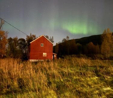 Tromso House | Sigridtunet - cozy nordic stay