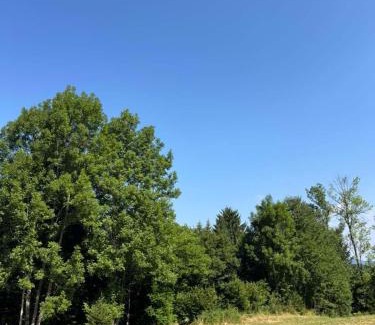 Foca Ski Chalet | Silence of the Forest