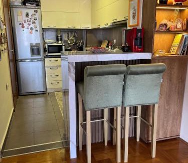 Babilonija Apartment | sinbia apartment