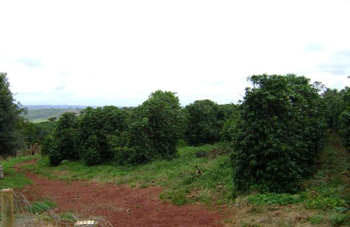 Serra da Canastra National Park House | Sitio Sao Benedito