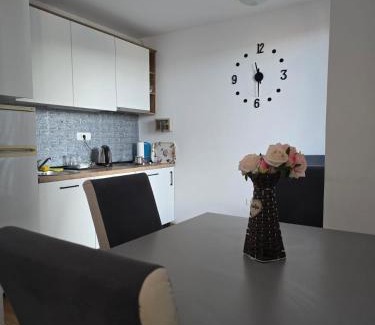 Bjelasnica Apartment | skiandstaybjelasnica1