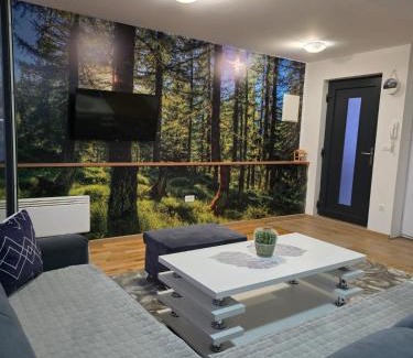 Bjelasnica Apartment | skiandstaybjelasnica1