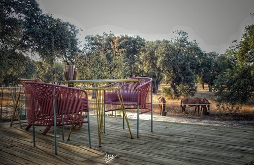 Parrillas Cabin | Sky Bubble | El Toril Glamping Experience