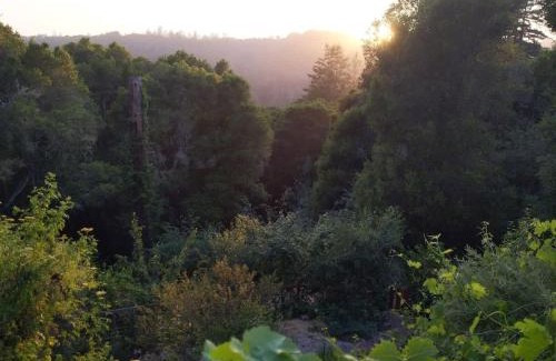 Aptos House | Sky Cabin