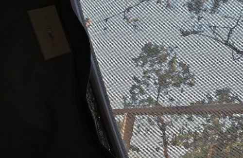 Dunlap Apartment | Sky Pod/Tree Tent#1