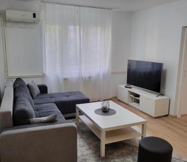 Vracar Apartment | Slavija Lux! 2 Bedroom Apartment city center