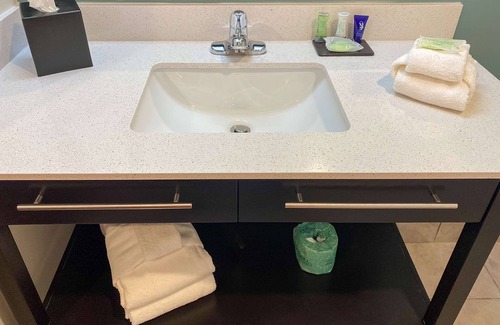 Greensboro Hotel | Sleep Inn & Suites - Coliseum Area