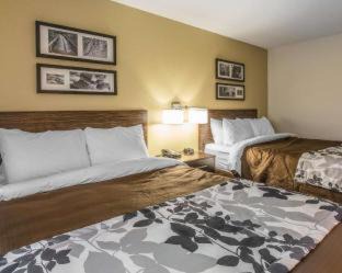 Jasper Hotel | Sleep Inn & Suites Jasper I-22