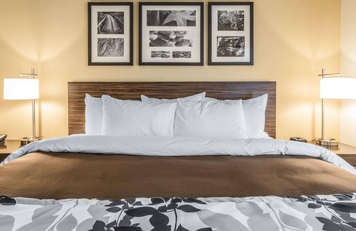 Jasper Hotel | Sleep Inn & Suites Jasper I-22