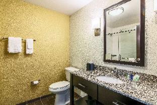 Rochester Hotel | Sleep Inn & Suites West-Near Medical Center