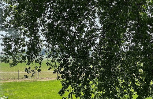 Kewaunee Other | Sleepy Sheep Farm of Kewaunee near shores of Lake Michigan.
