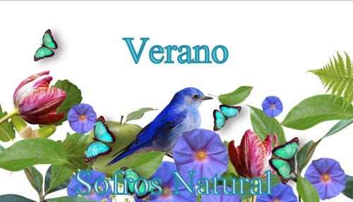 Nigran Villa | Slow House y La cabaña de Miss Slower