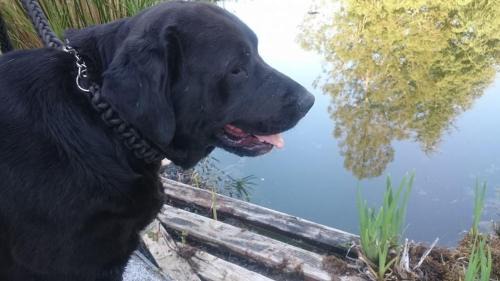 Nigran Villa | Slow House y La cabaña de Miss Slower