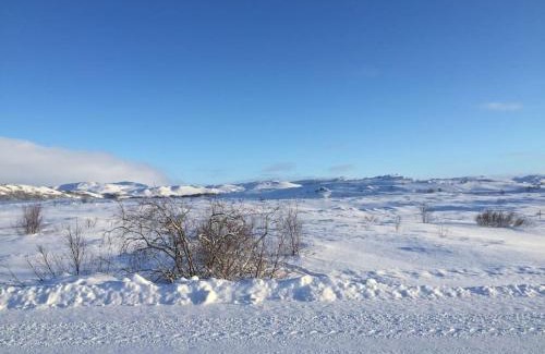 Skutustadir Villa | Slow Travel Mývatn - Óli's Homestay-Private house v