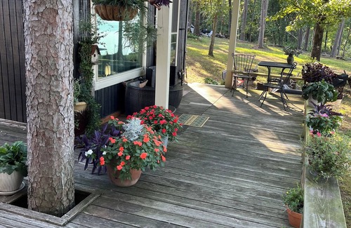 Russellville Cabin | Small cabin right on the lake !