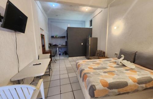 Lazaro Cardenas Apartment | Small studio APT 5min to DT!