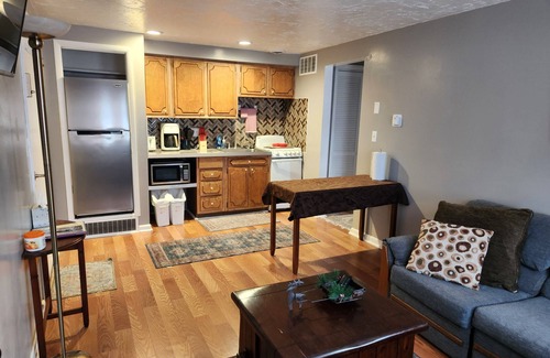 Mason City Apartment | Small Welcoming Pet Friendly 1 bedroom Apartment