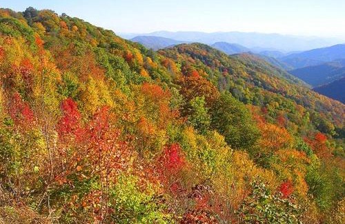 Sevierville House | Smoky Arrow By Beyond Expectations Whot Tub Bar