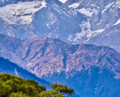 Sidhpur Apartment | Snow Biscuit Villa