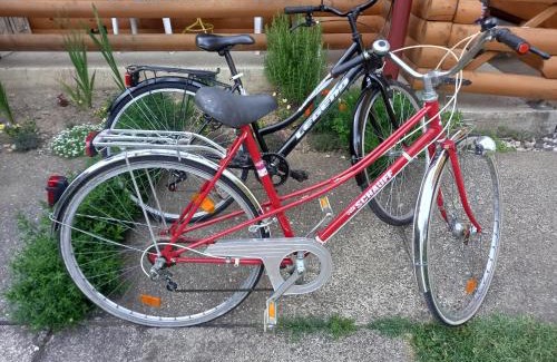 Teslic House | Soba Dujaković