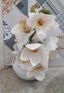 Corumba House | Sobrado 2 amplo e confortável em condomínio