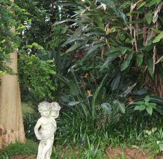 Louis Trichardt House | Softwaters Guesthouse Cottages