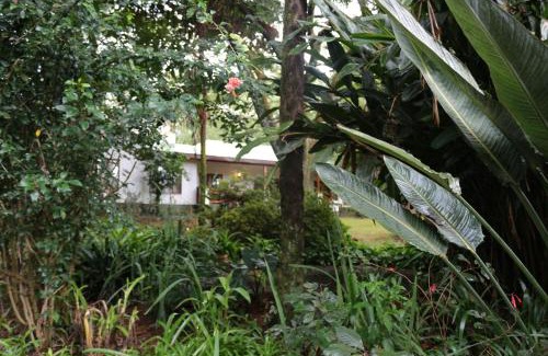 Louis Trichardt House | Softwaters Guesthouse Cottages