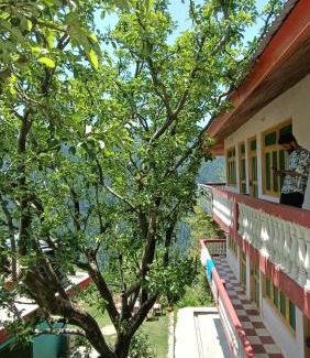 Shoja House | Sojhaholidayinn