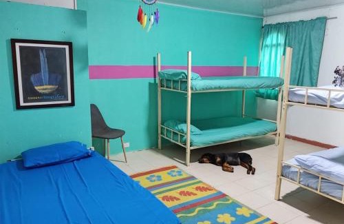 Mocoa House | SOL & SELVA Hostal Mocoa Putumayo