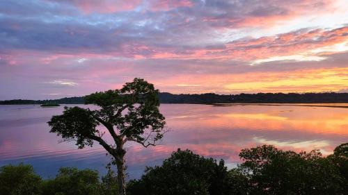 Isla Solarte Cabin | Solarte EcoLodge