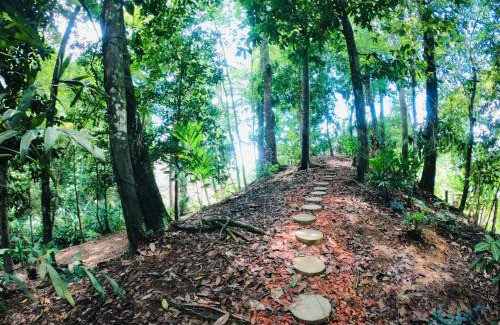 Isla Solarte Cabin | Solarte EcoLodge