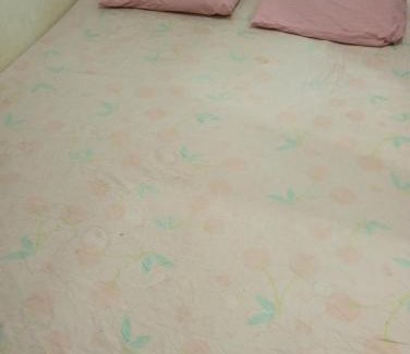 Salvador House | SoleLua