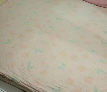 Salvador House | SoleLua