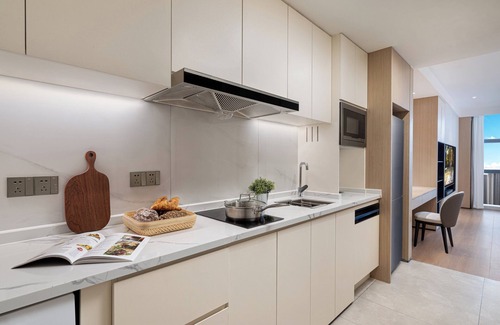 Bin Hu District Apartment | Somerset Taihu New City CBD Wuxi