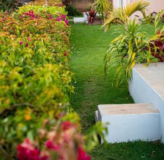 Ambohibao Apartment | Somptua Garden