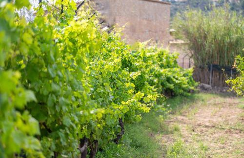 Alaro House | Son Sant Joan