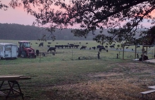 Pangburn RV Rental | Soothing camping with WiFi in charming Pangburn Arkansas.