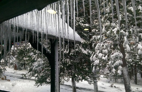 Strawberry House | Sophisticated Home. Stainless Kitchen to Cedar Sauna. Tesla Charger. Relax!