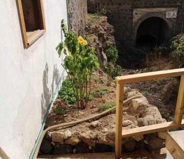 Guimar Apartment | Souterrain für max 2 P., Bad, Außenküche, Garten