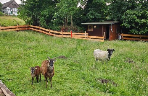 Herbede Apartment | Souterrainwohnung im Grünen