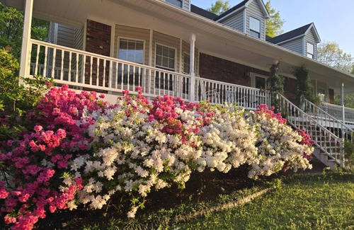 Pinson House | Southern Charm Cottage - Peaceful 4 BR By The Creekside!