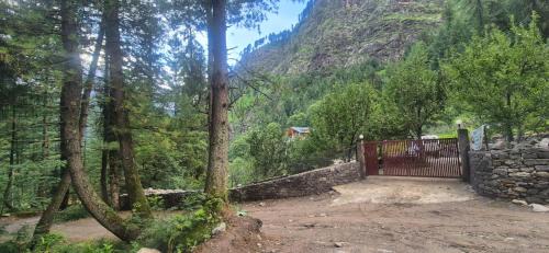 Manali House | Soyal Orchard Retreat- Vanvaas