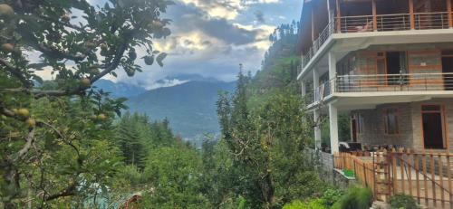 Manali House | Soyal Orchard Retreat- Vanvaas
