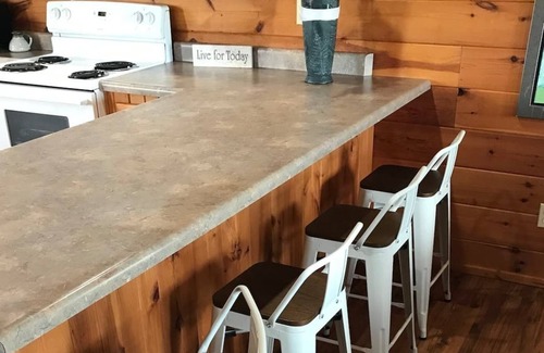 Dora Cabin | Spacious 1200sf cabin (2) in Ozark county near the river. Pets allowed.