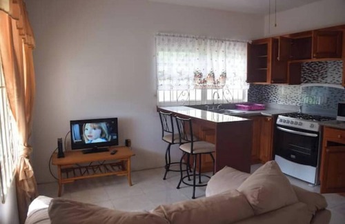 Monkey Hill Apartment | Spacious 2-bedroom apartment with AC, WiFi in St. Peters