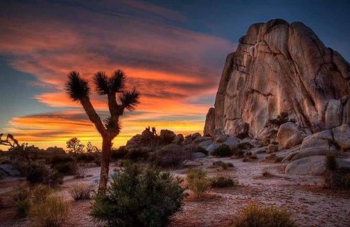 Twentynine Palms House | Spacious 4BR/3BA Family Retreat Near Joshua Tree